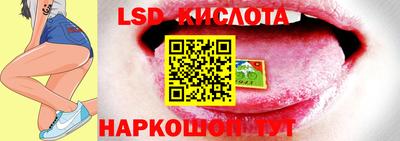 spice Кингисепп