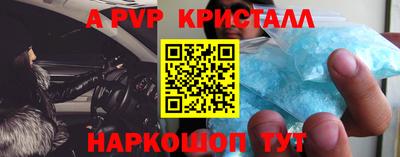 spice Кингисепп