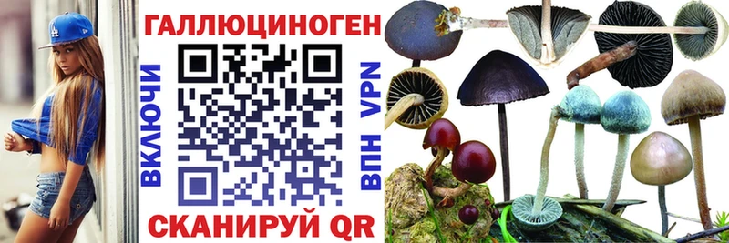 что такое   Усинск  Псилоцибиновые грибы Psilocybe 