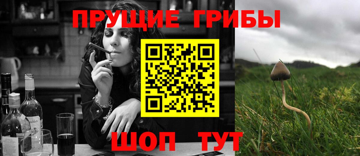 Галлюциногенные грибы MAGIC MUSHROOMS  Вход с VPN  Усинск 